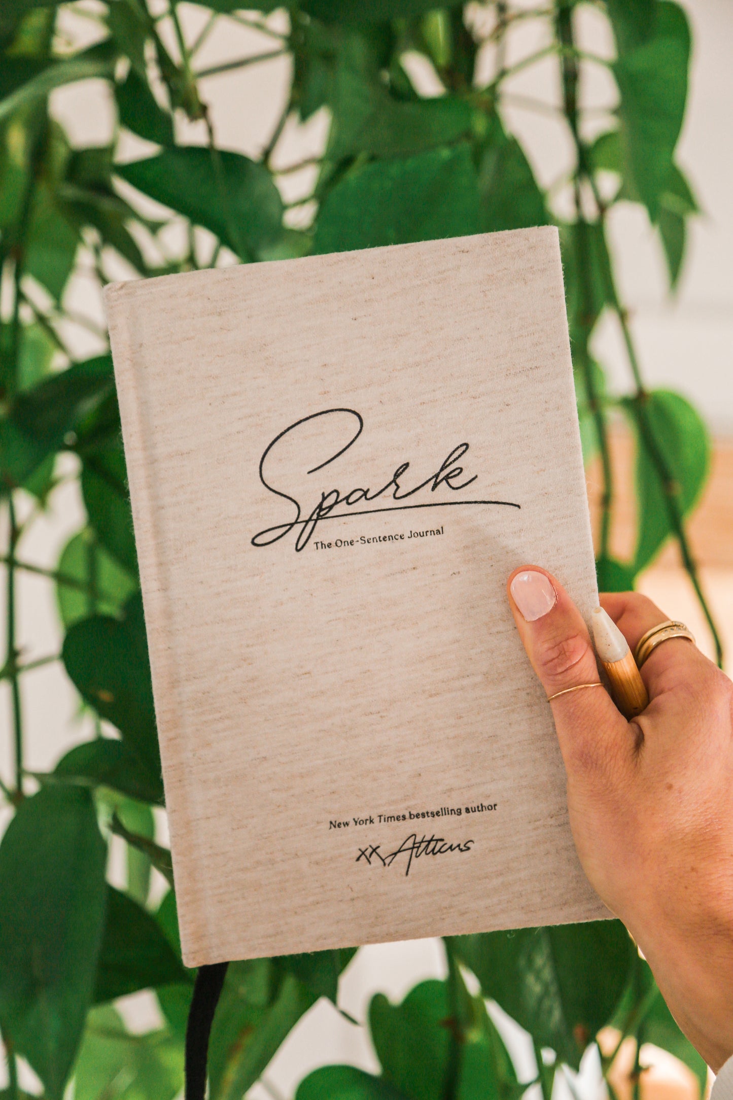 Spark: The One-Sentence Journal