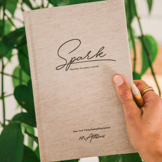 Spark: The One-Sentence Journal