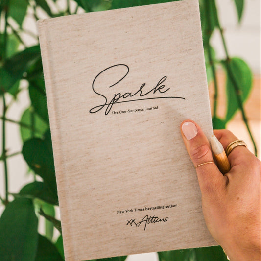 Spark: The One-Sentence Journal
