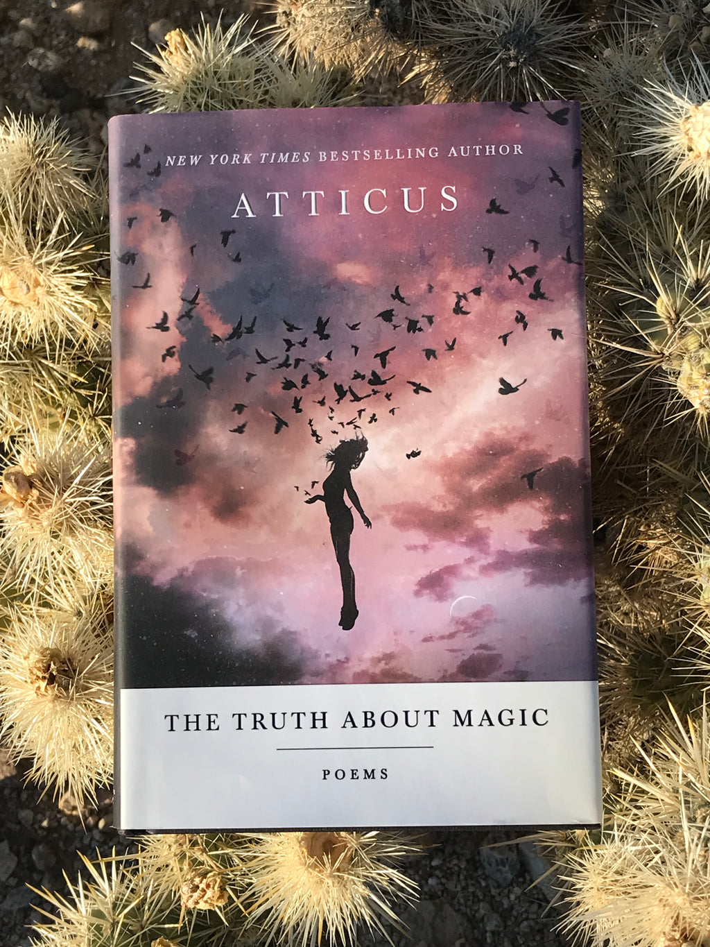The Truth About Magic
