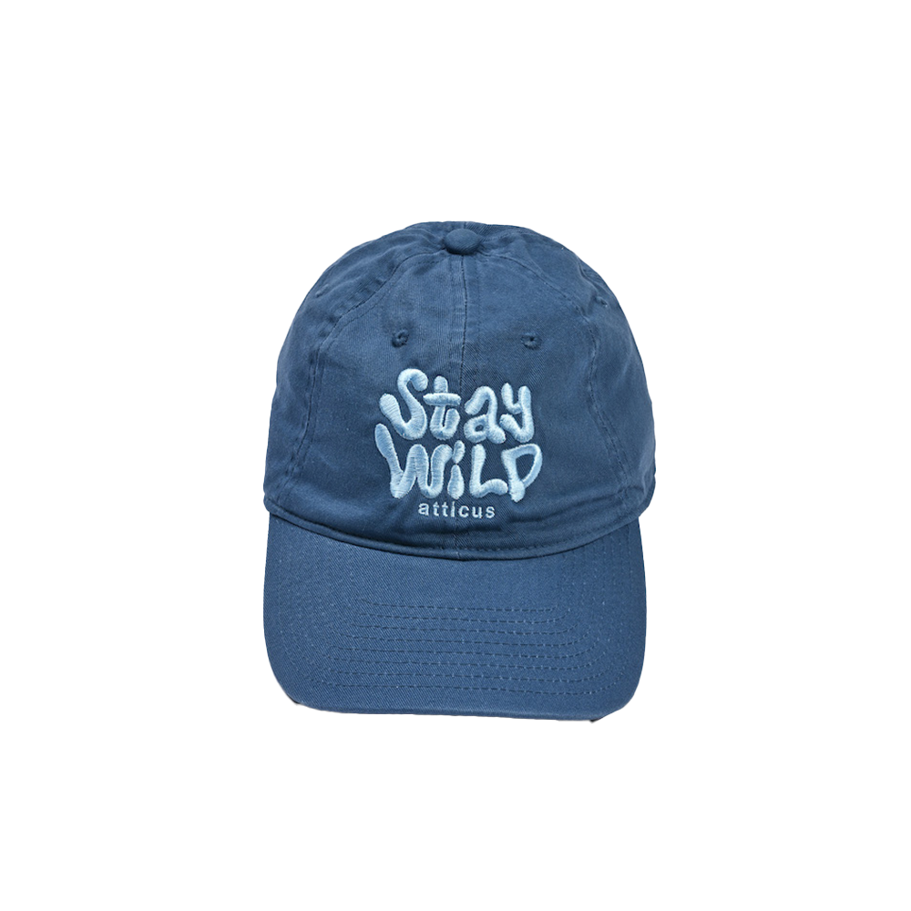 Groovy Stay Wild Hat