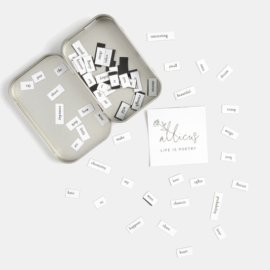 Magnetic Poetry Set