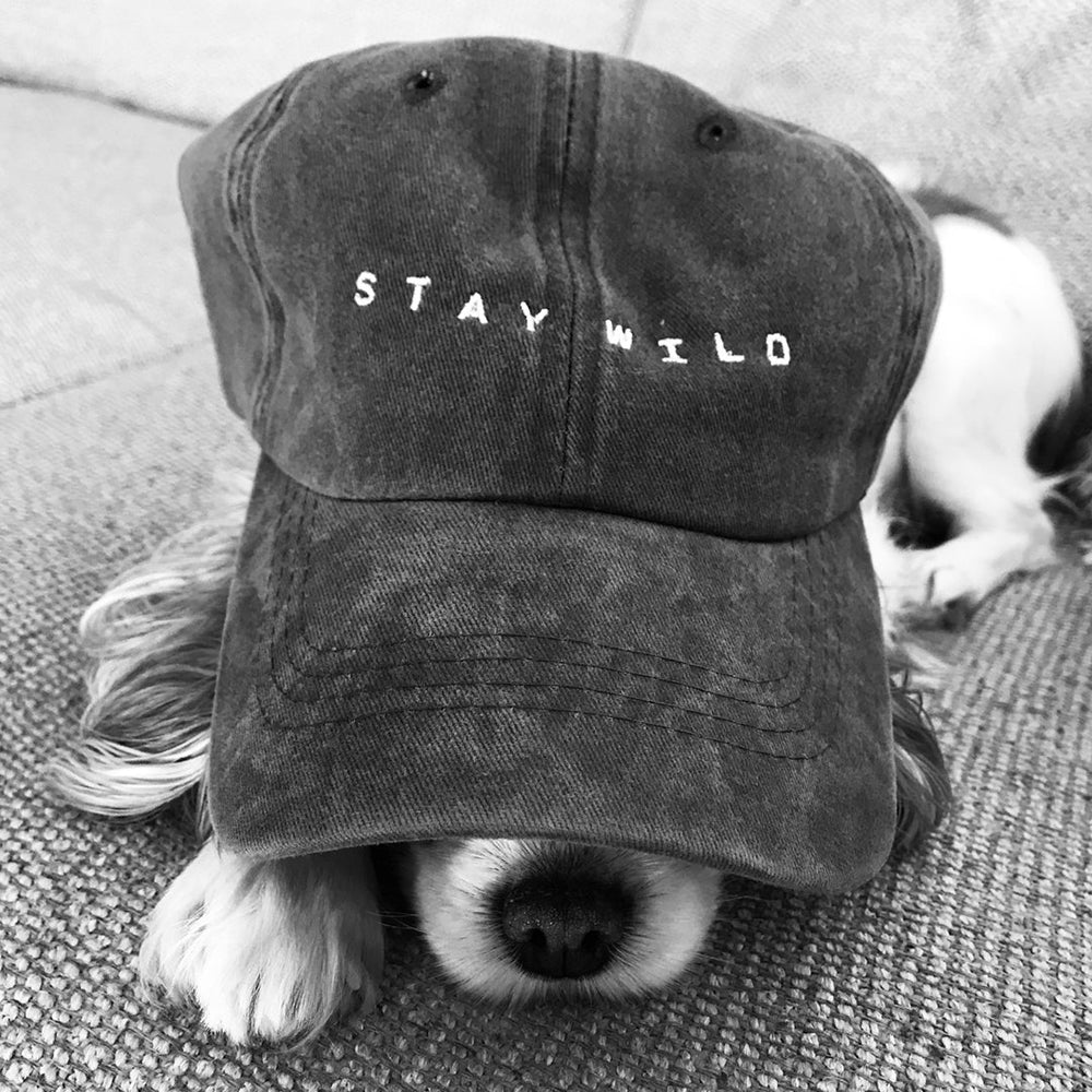 Stay Wild - Dad Hat - Pet